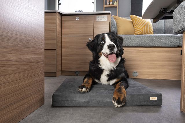 4-Pfoten" Hundekissen fr Wohnwagen und Wohnmobile | 4 - Pfoten Paket |  Reise & Transportlsungen | Dethleffs GmbH und Co. KG