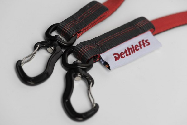 Dethleffs laisse pour chien