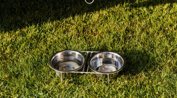 "4 paws" bowl holder pack for motor homes and caravans