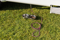 Dethleffs "4 paws" lead hanger pack for motor homes